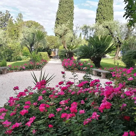 Villa Paradiso Apartment *