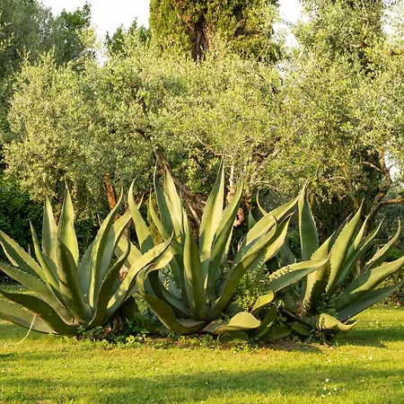 Daire Villa Paradiso Apartment Sirmione